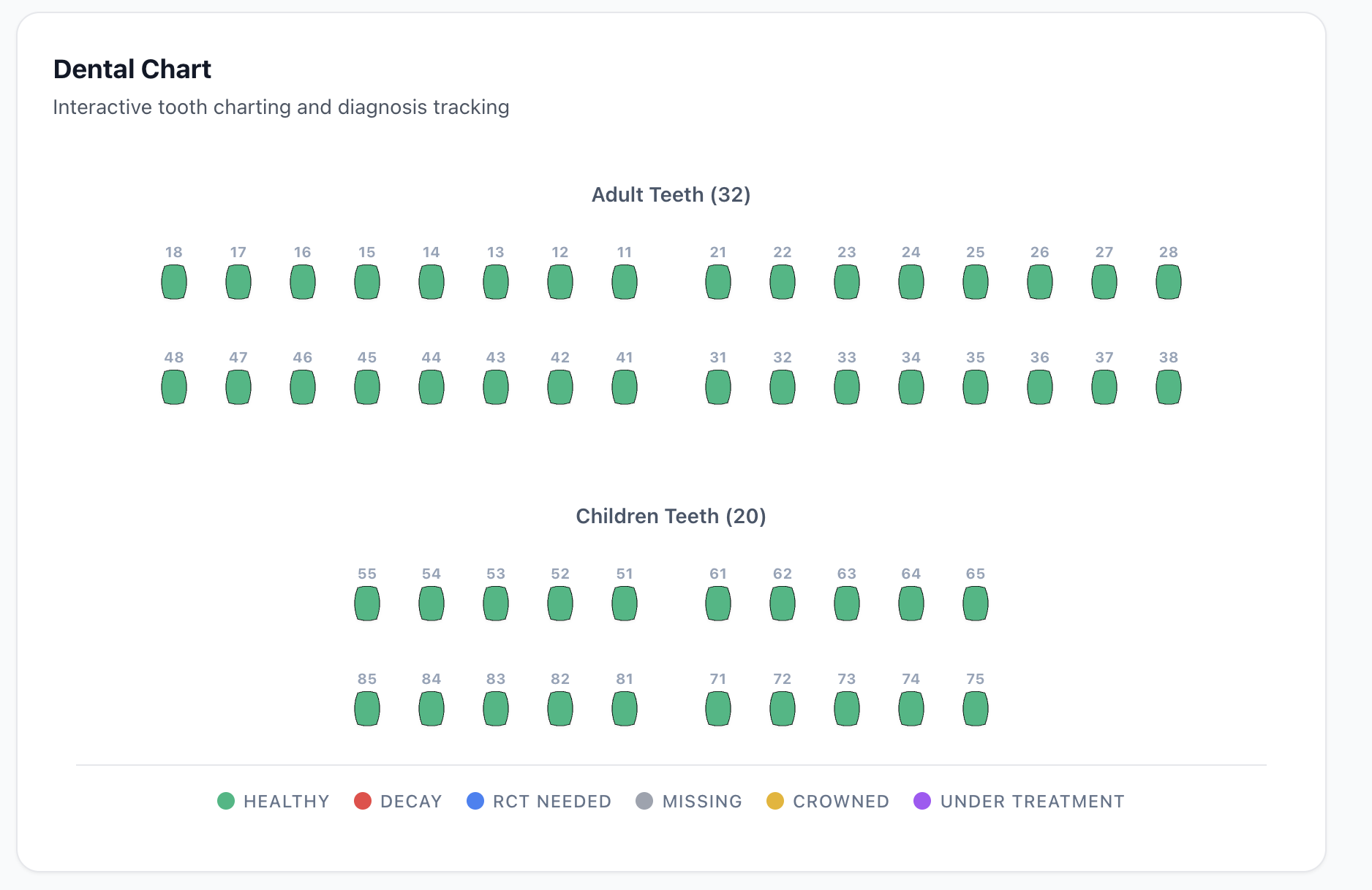 Interactive dental odontogram chart